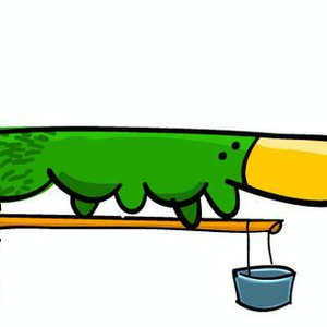 Foto de perfil de Fátima