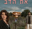 להעיר את הדב