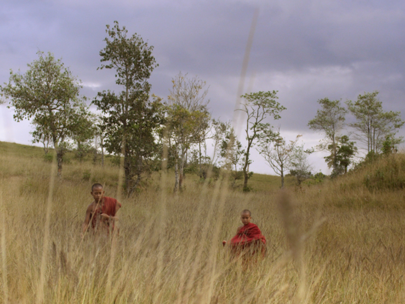 Foto 3 de Golden Kingdom