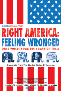 América à Direita: Contrariados - Algumas Vozes da Campanha - Poster / Capa / Cartaz - Oficial 1