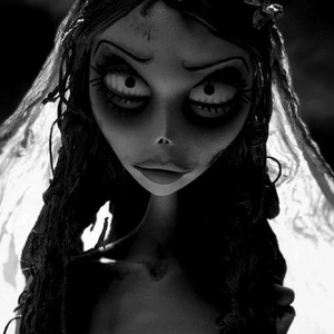 Foto de perfil de Patrícia