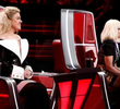 Live Top 13 Performances