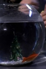 Buon Natale (Buon Natale)