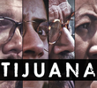 Tijuana