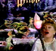 The Wickedest Witch