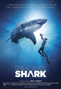 O Grande Tubarão Branco (Great White Shark)