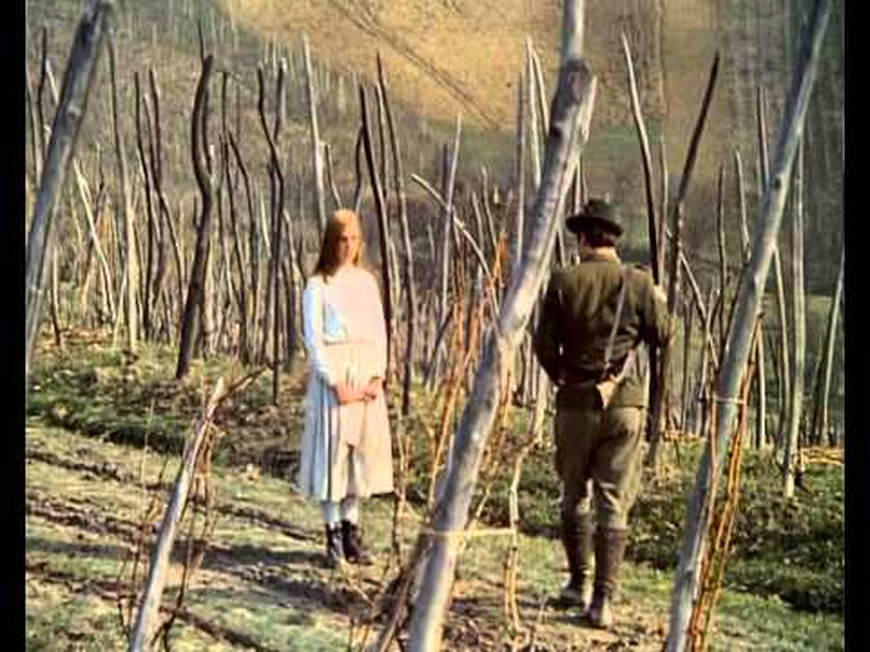 Foto 8 de Breza     (The Birch Tree) 