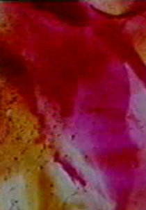 Prelude 4 (Prelude 4)