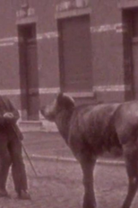 Enquanto isso em algum lugar...1940-1943 (Meanwhile Somewhere...1940-1943)