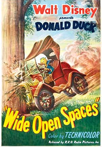 Wide Open Spaces (Wide Open Spaces)