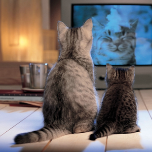 Foto de perfil de Fabiana