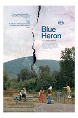 Garça-Azul (Blue Heron)