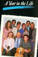 A Year in the Life (A Year in the Life)