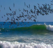 Galapagos: Enchanted Isles