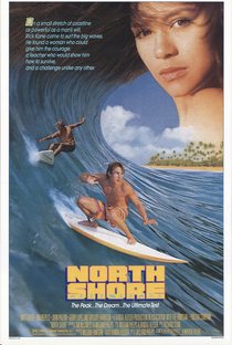Surf no Hawaí - Poster / Capa / Cartaz - Oficial 5