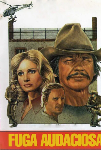 Poster 11 de Filme Fuga Audaciosa (1975)