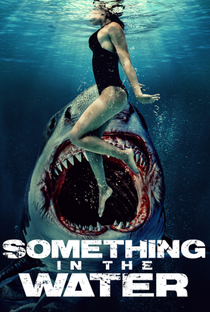 Something in the Water - Poster / Capa / Cartaz - Oficial 2