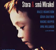 Stora & små mirakel