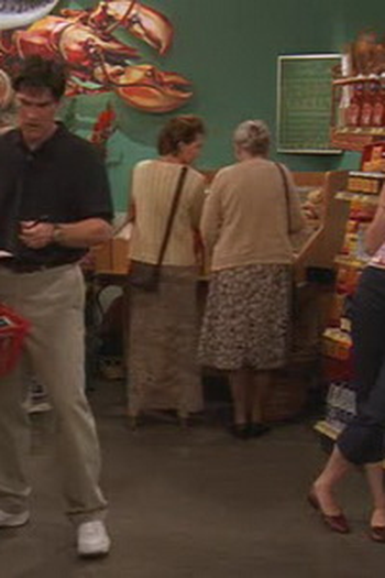 Poster de Episódio Ringing Up Baby (1998)