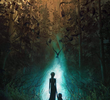 O Bosque Selvagem