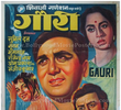 Gauri