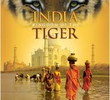 India: O Reino do Tigre