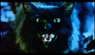 The Cat (1992) Trailer English Subtitles