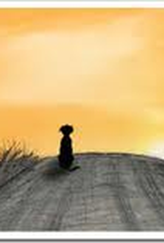 Poster 2 de Curta Abandono de Animais (2011)