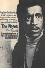 O Pombo (The Pigeon)