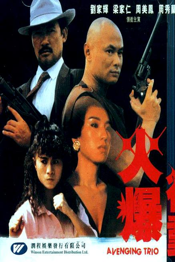 Poster de Filme Avenging Trio (1989)