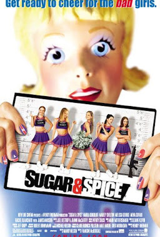 Poster 3 de Filme Atraídas Pelo Perigo (2001)