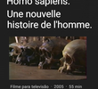 Homo Sapiens