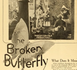 The Broken Butterfly