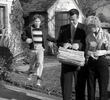The Paper Route