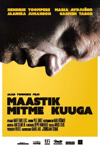 Poster de Filme Paisagem com Várias Luas (2014)