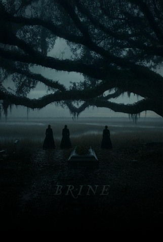 Poster 1 de Filme Brine (2027)