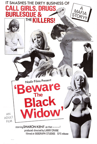 Poster 1 de Filme Beware the Black Widow (1968)