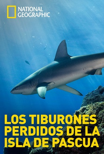Os Tubarões da Ilha de Páscoa - Poster / Capa / Cartaz - Oficial 1