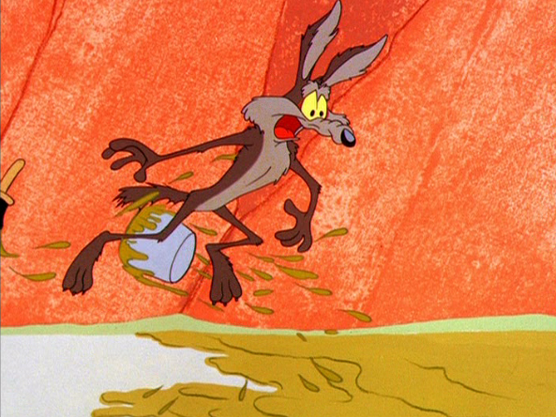 Foto 3 de Coyote com Pena