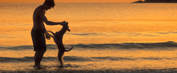 Caramelo se torna o título brasileiro de maior alcance global na Netflix