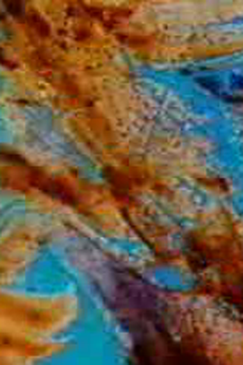 Poster de Curta Prelude 10 (1996)