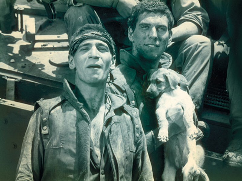 Foto 2 de Shtei Etzbaot Mi'Tzidon