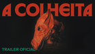 A COLHEITA | Trailer Oficial | Na MUBI em 8 de agosto