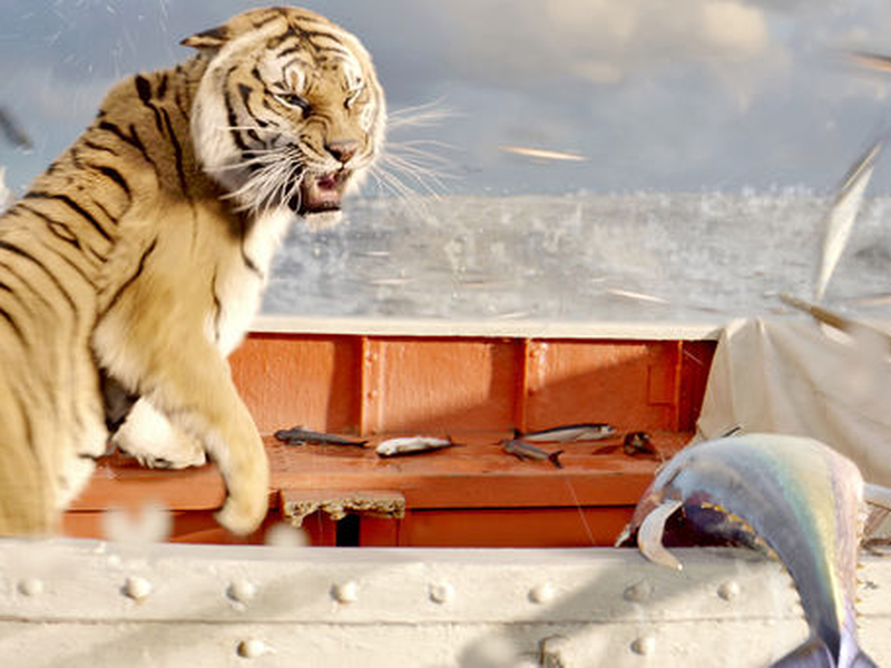 Foto 4 de As Aventuras de Pi