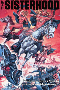 Guerreiras do Universo - Poster / Capa / Cartaz - Oficial 3