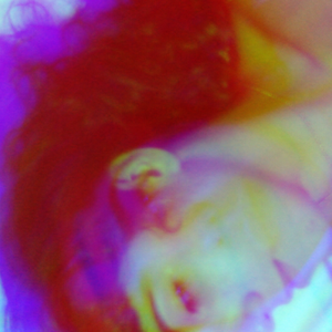 Foto de perfil de Ana Amorim