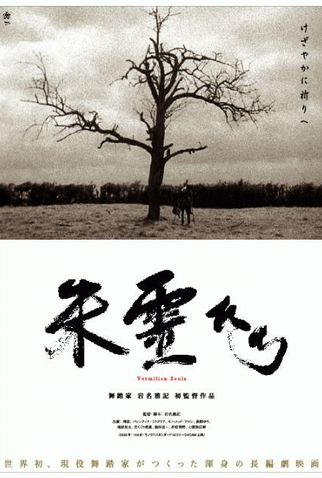 Poster 1 de Filme Vermilion Souls (2007)