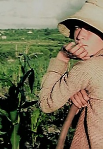 Ô xente, pois não (Ô xente, pois não)