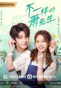 A Different Mr. Xiao (不一样的萧先生)