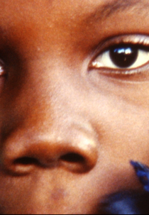 Vertières I, II e III (Vertières I, II e III)